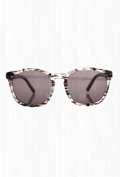 Alexander Wang Clear Black Tortoise Shell Sunglasses