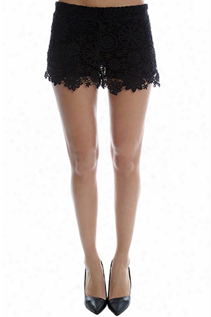 Nightcap Caribbean Crochet Shorts