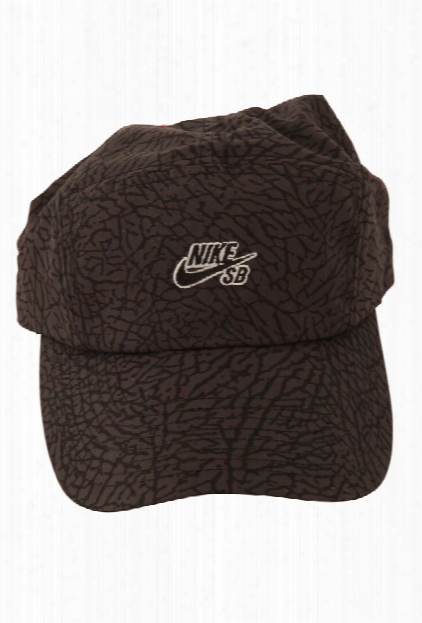 Nike Sb 5 Panel Jordan Print Cap