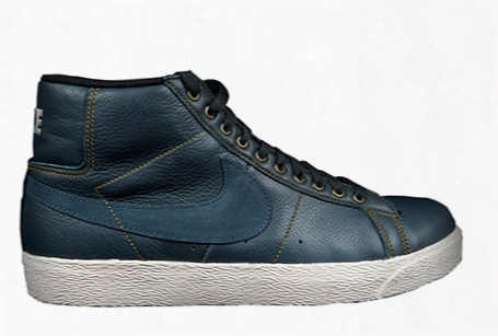 Nike  Blazer Sb Elite