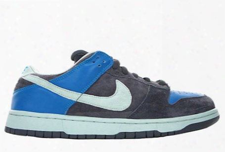 Nike Dunk Low Sb "aqua Chalk