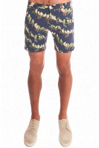 Remi Relief Bird Motif Shorts