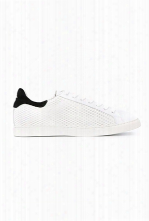 Iro Aimee Sneaker