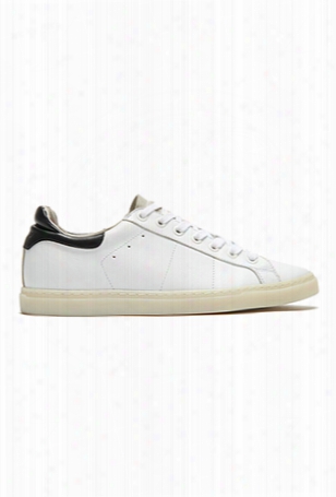 Iro Prissy Sneaker