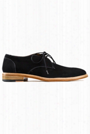 Shipley & Halmos Joran Shoes