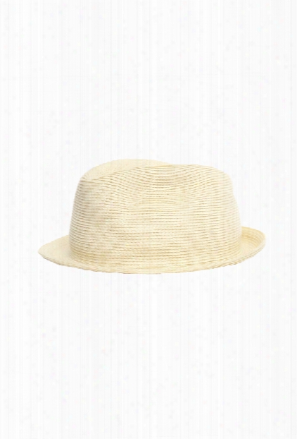 Still Life Ivory Toyo Hat