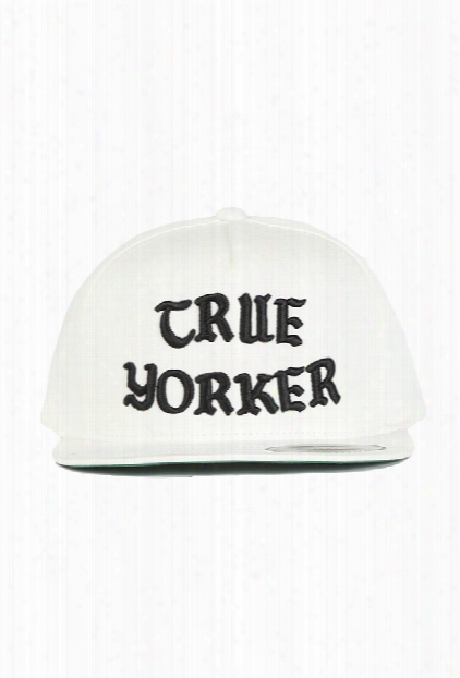 Blue&cream True Yorker Snapback