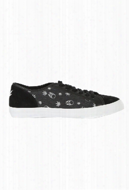 Lucien Pellat-finet Sneakers Lowtop