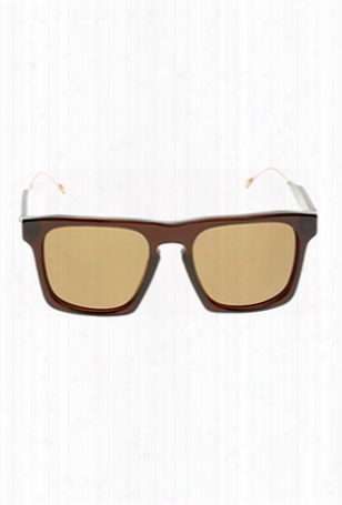 Oliver Peoples San Luis Dark Tortoise Polarized