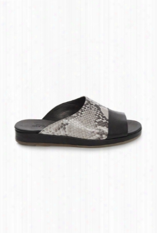 Rag & Bone Falk Sandal