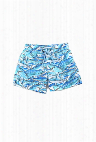 Sunuva Boys Shark Swim Short