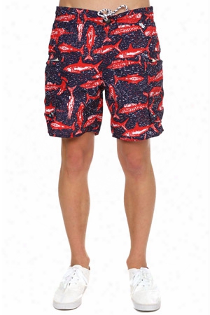 Burkman Bros Cargo Swim Short