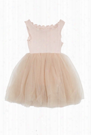 Mini Tutu Dress