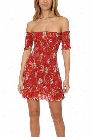 Zimmermann Corsair Shirred Flutter Dress