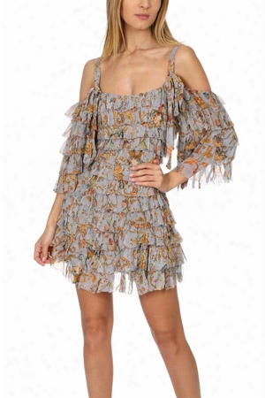 Zimmermann Painted Heart Ra Ra Mini Dress