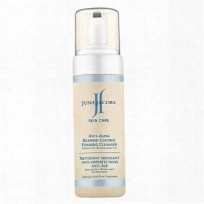 June Jacobs Anti-aging Blemish Control Foaming Cleanser