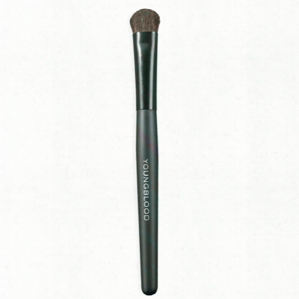 Youngblood Eyeshadow Brush