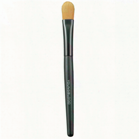 Youngblood Luxurious Concealer Brush