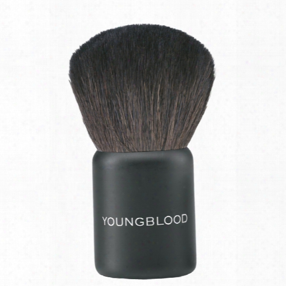 Youngblood Small Kabuki Brush