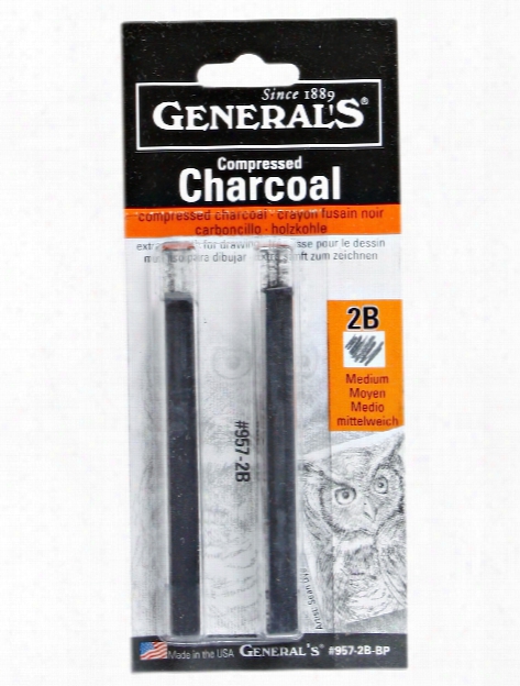 camlin compressed charcoal