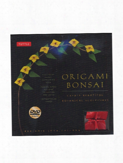 Origami Bonsai Kit With Dvd Each