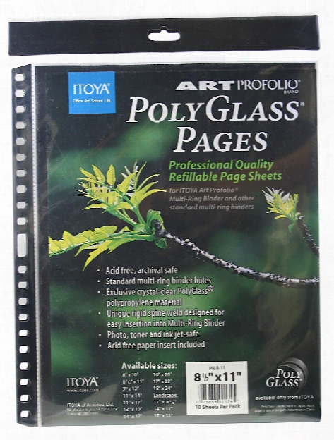 Polyglass Pages 8 1 2 In. X 11 In. Vertical Pack Of 10