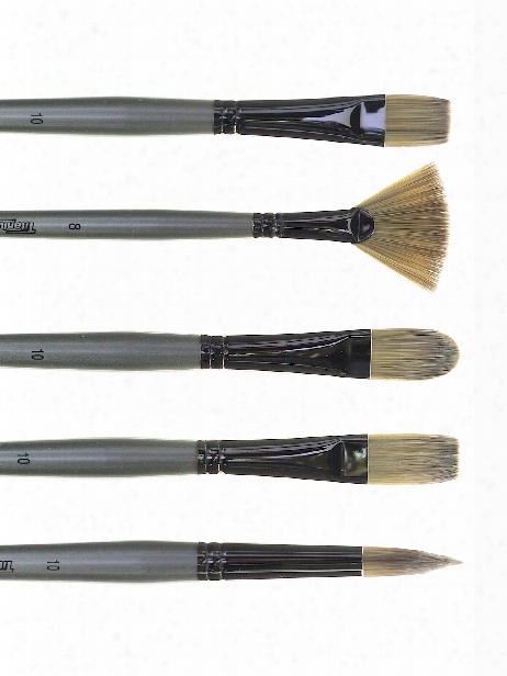 Titanium Brushes Long Handle Single Stock 1 Bright Tt41