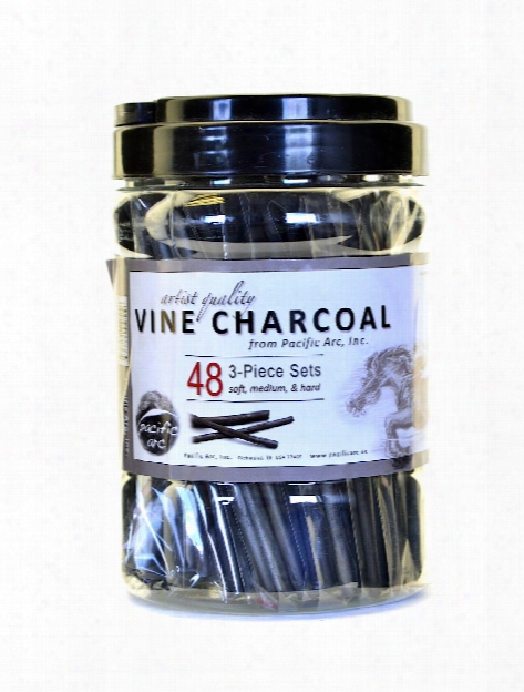 Vine Charcoal 3-piece Sets Canister Of 48