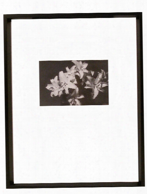 Gallery Collection Frames 11 In. X 14 In. Centered For 5 In. X 7 In.