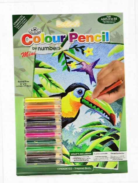 Mini Color Pencil By Number Kits Horse