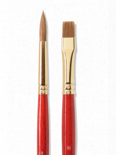 Sceptre Gold Ii Long Handled Brushes 10 Flat 505