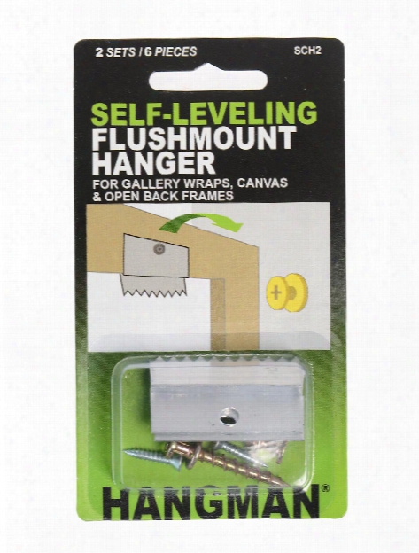 Selfleveling Flushmount Hanger Pack Of 2