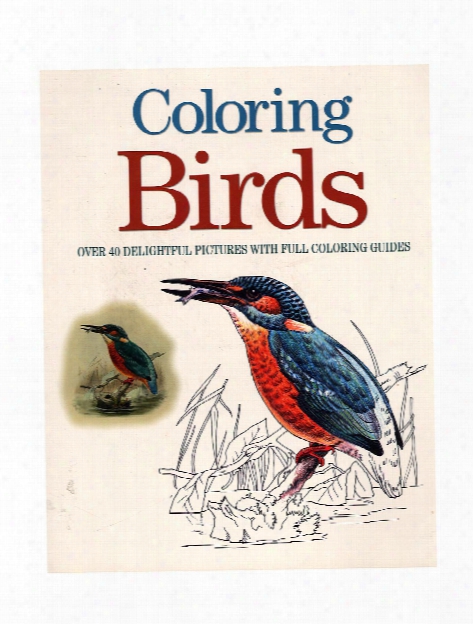 Adult Coloring Books Birds