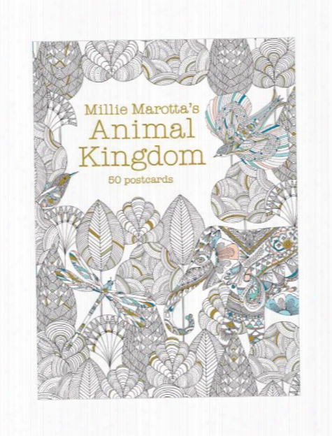 Animal Kingdom: 50 Postcards Each