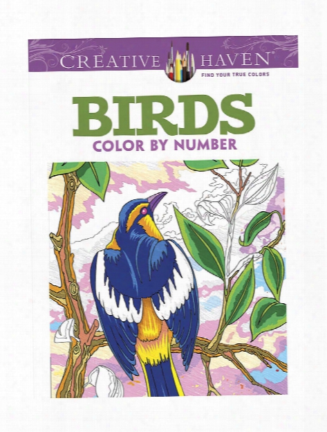Creative Haven Color By Number American Landscapes