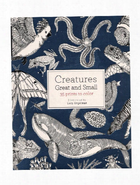 Field Guide: Creatures Great And Small Each