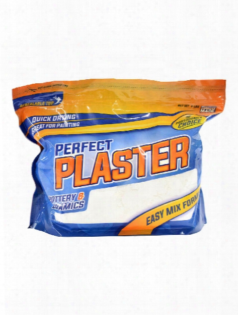 Perfect Plaster 4 Lb. Bag