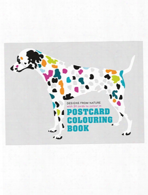 Postcard Colouring Book Each