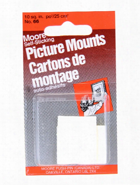 Self-sticking Picture Mount 1 In. X 1 1 4 In. Pack Of 8