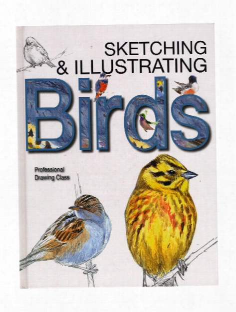Sketching & Illustrating Birds Each
