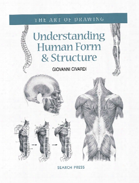 Understanding Human Form & Structure Each