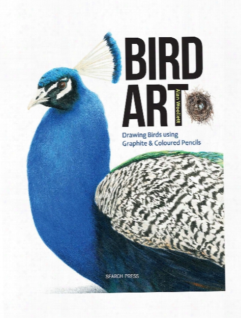 Bird Art Each