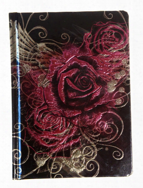 Journals Peacock Feather 5 In. X 7 In.