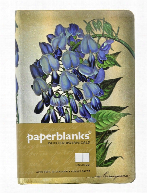 Painted Botanicals Blooming Wisteria Mini, 3 3 4 In. X 5 1 2 In. 176 Pages, Unlined