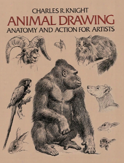 Animal Drawing; Anatomy And Action For Artists Animal Drawing; Anatomy And Action For Artists