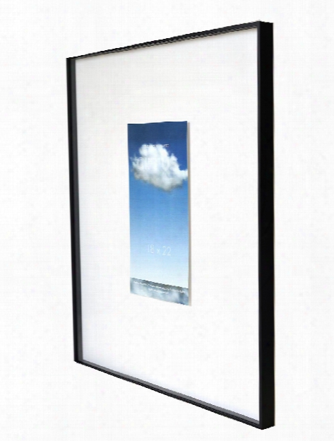 Cirrus Frame 18 In. X 22 In.