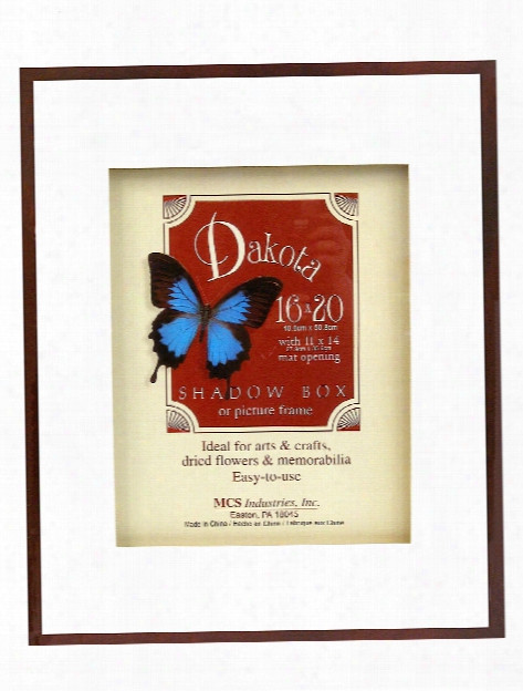 Dakota Shadow Boxes 11 In. X 14 In. Walnut 8 In. X 10 In. Opening