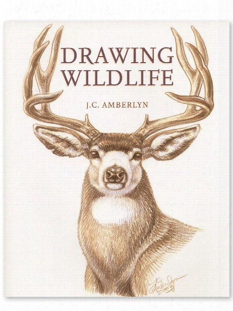 Drasing Wildlife Drawing Wildlife