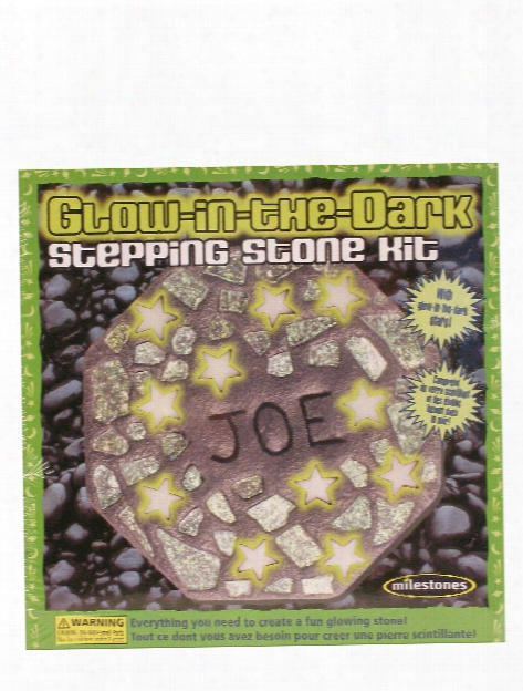 Glow-in-the-dark Stepping Stone Kit Glow-in-the-dark Stepping Stone Kit