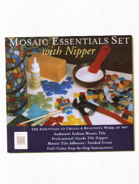 Mosaic Essentials Set With Nipper Mosaic Kit